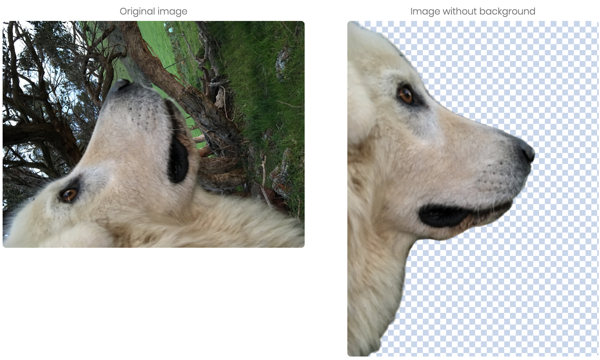 Screen Shot 2019-09-30 at 10.18.12 am.png